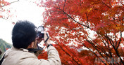 Ngỡ ngàng ngắm mùa thu Nhật Bản